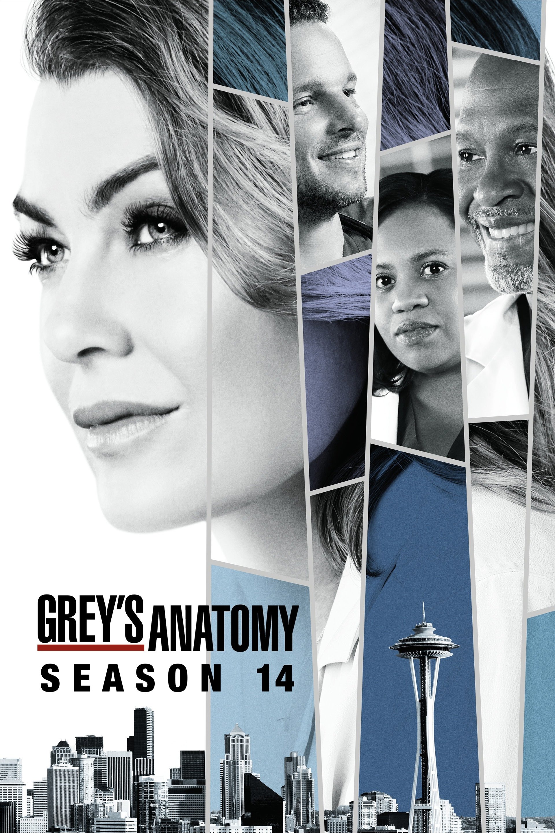 Grey's Anatomy - Season 14 [13959] (A1763985805) [[Shows]] --Plex--